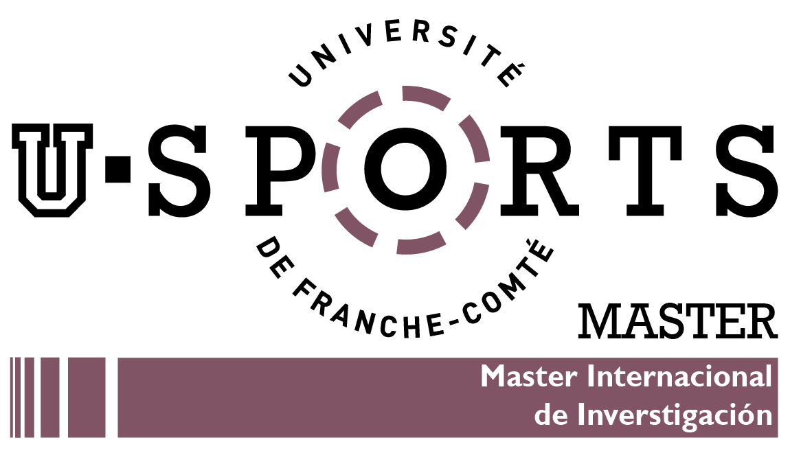 Logo master mir