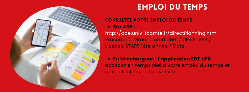 Licence 1 ADE